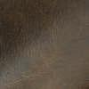 (U) Ancient Brown