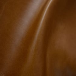 (U) Brandy