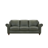 Catira Leather Sofa or Set Get FREE Leather Samples