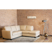 Trina Bay Leather Sectional