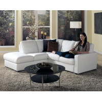Ellis Cove Leather Sectional