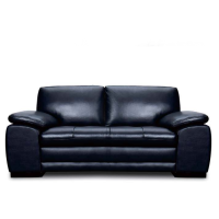 Giada Leather Sofa Group