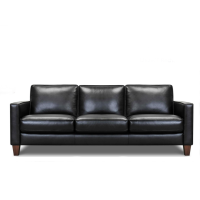 Bara Leather Sectional