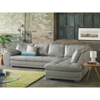 Bluma Leather Sectional