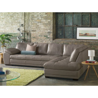 Bluma Leather Sectional