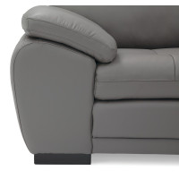 Bluma Leather Sectional
