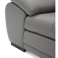 Bluma Leather Sectional