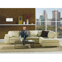 Bluma Leather Sectional