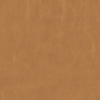 659-72-Camel (Grade 3)