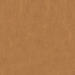 659-72-Camel (Grade 3)