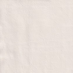 (QS) Amadeus Curry White