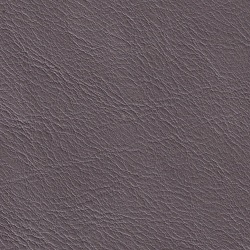 (QS) Amadeus Fog*