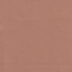 (QS) Berkshire Chamois*