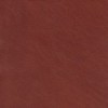 (QS) Berkshire Cuero