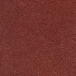 (QS) Berkshire Cuero