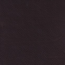 (QS) Berkshire Currant*