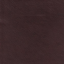(QS) Boca Bramble
