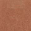 (QS) Coyote Acorn*