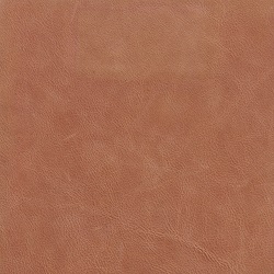 (QS) Coyote Acorn*