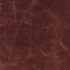 (QS) Coyote Tan