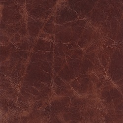 (QS) Coyote Tan