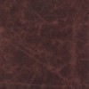 (QS) Coyote Vanilla