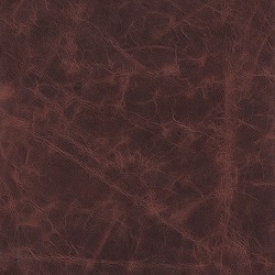 (QS) Coyote Vanilla