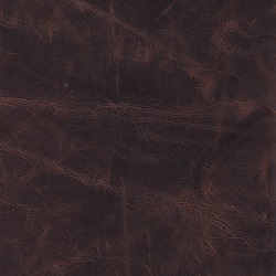 (QS) Coyote Walnut