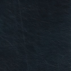 (QS) Del Mar Navy*