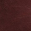 (QS) Del Mar Nutmeg*