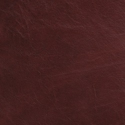 (QS) Del Mar Nutmeg*