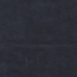 (QS) Cali Admiral*