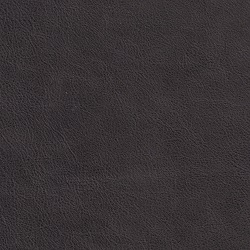 (QS) Cali Charcoal*