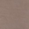 (QS) Cali Dove*