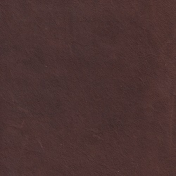 (QS) Cali Fudge