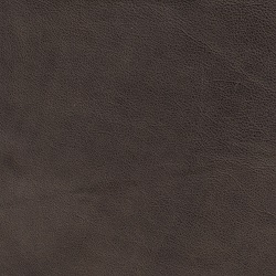 (QS) Cali Iron
