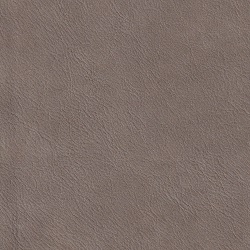 (QS) Cali Lt Grey*