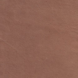 (QS) Cali Ranch*