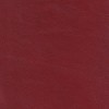 (QS) Soleil Hollyberry