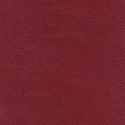 (QS) Soleil Hollyberry