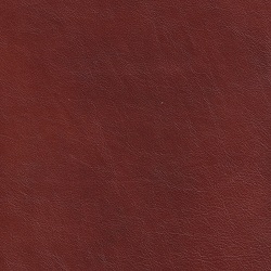 (QS) Soleil Luggage