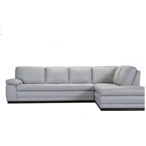 Gael Stationary Leather Sectional