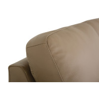 Sannelle Leather Sectional