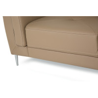 Sannelle Leather Sectional