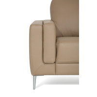 Sannelle Leather Sectional