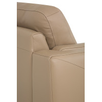 Sannelle Leather Sectional