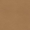 (GM) Florence Tan (Grade C)