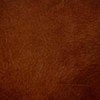 (GM) Highlight Cognac (Grade F)*