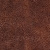 (GM) Janean Sycamore (Grade G)*