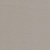 (TH) Accent Silver Grey (Grade 20) AN-041E